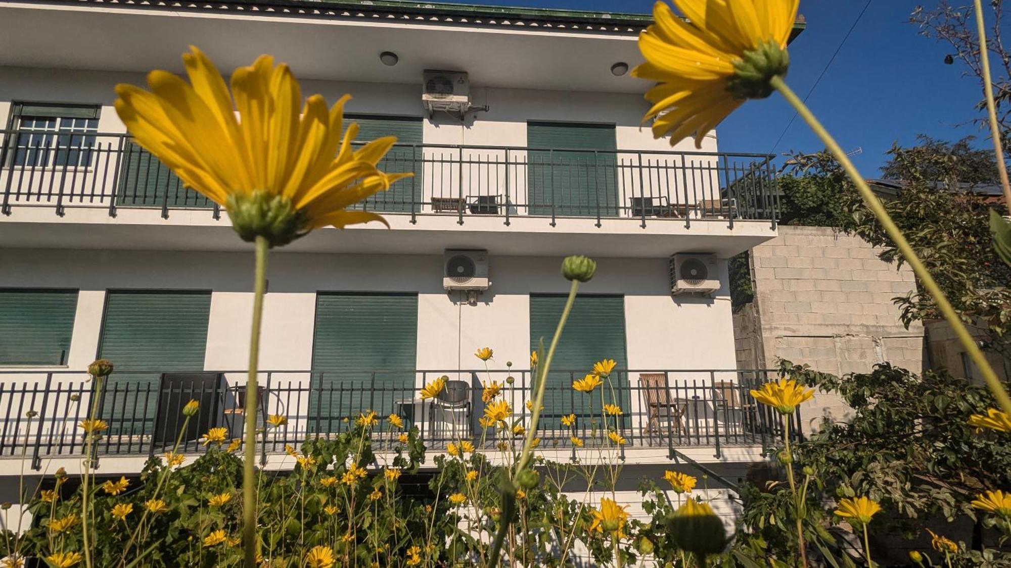 Casa Do Olival Hotel Peso da Régua Eksteriør billede