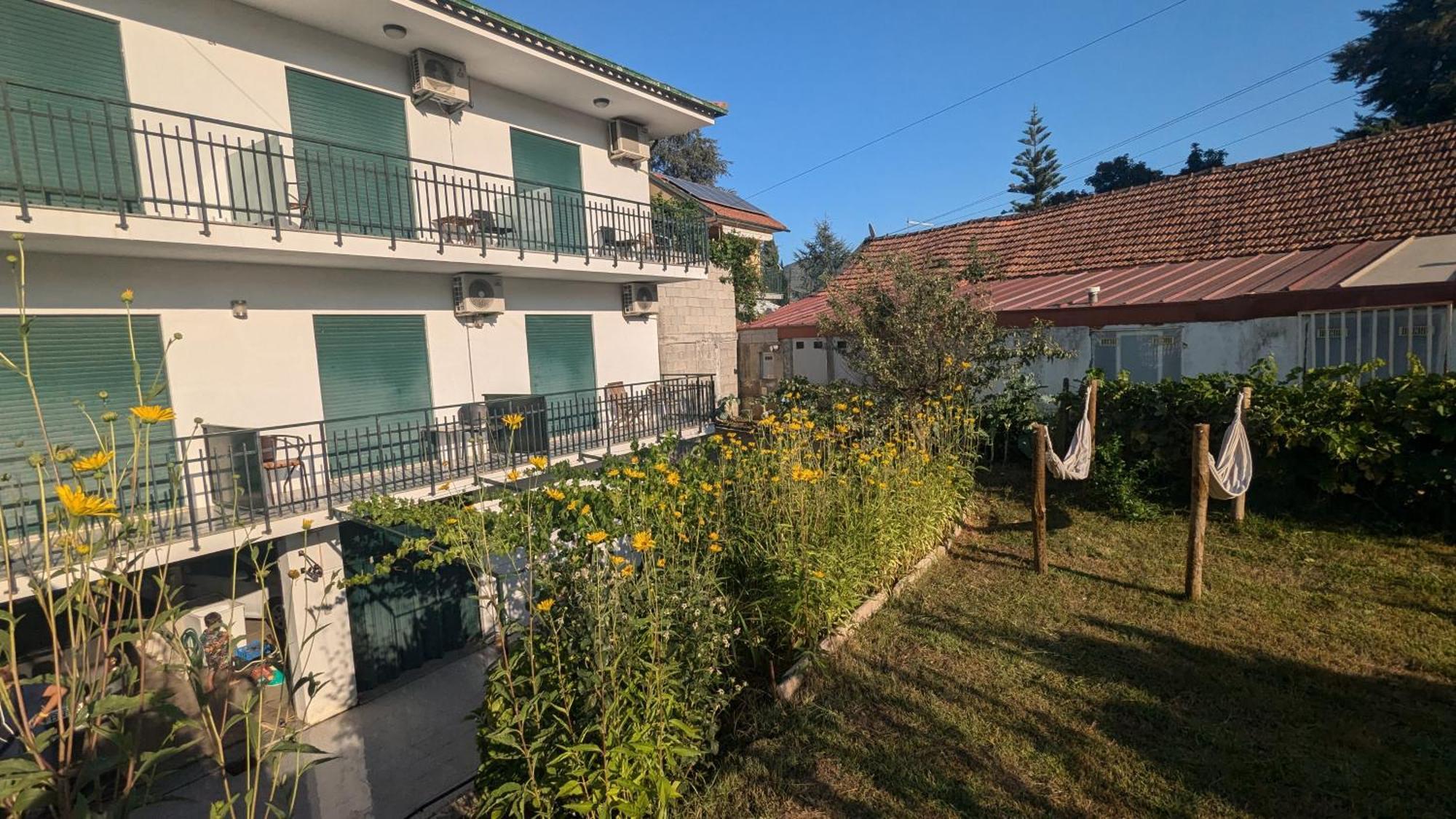 Casa Do Olival Hotel Peso da Régua Eksteriør billede