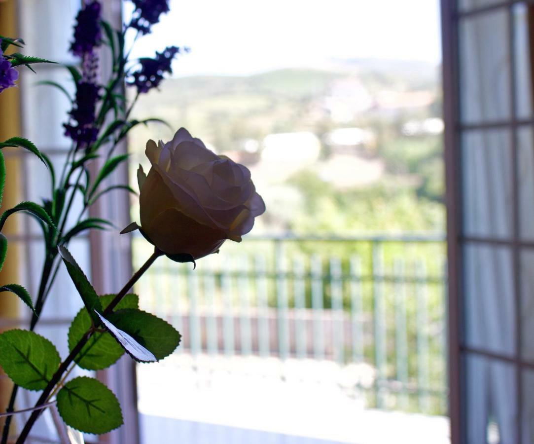 Casa Do Olival Hotel Peso da Régua Eksteriør billede
